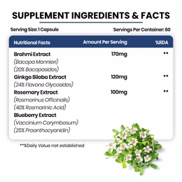 Vlado's Himalayan Organics Plant Based Brain Booster Supplement with Ginkgo Biloba & Brahmi | Boost concentration & Learning Activities | 60 Veg Capsules - Image 6