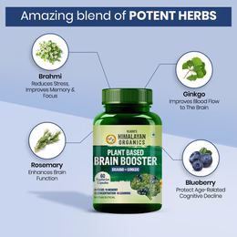 Vlado's Himalayan Organics Plant Based Brain Booster Supplement with Ginkgo Biloba & Brahmi | Boost concentration & Learning Activities | 60 Veg Capsules - Image 5