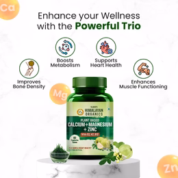 Vlado's Himalayan Organics Plant Based Calcium Magnesium + Zinc | Vitamin D3+k2 Supplement For Stronger Bones | Boost Immunity | Healthy Heart | Muscle Growth - 60 Veg Tablets - Image 5