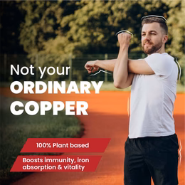 Vlado's Himalayan Organics Plant Based Copper 1700mcg with Green Tea Extract | Support Connective Tissues | Good For Bone Health - 120 Veg Capsules - Image 3
