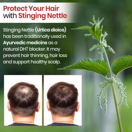 Vlado's Himalayan Organics Plant Based DHT Blocker | Goodness Of Nettle Leaves | 60 Veg Capsules - Image 5