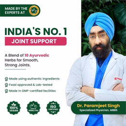 Vlado's Himalayan Organics Plant Based Joint Support With Boswellia Serrata | Amla, Alfalfa, Turmeric, Moringa + 10 Ayurvedic Herbs | Strong Bones & Relives Joint Pain | Better Flexibility For Men & Women - 60 Veg Tablets - Image 7