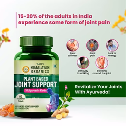 Vlado's Himalayan Organics Plant Based Joint Support With Boswellia Serrata | Amla, Alfalfa, Turmeric, Moringa + 10 Ayurvedic Herbs | Strong Bones & Relives Joint Pain | Better Flexibility For Men & Women - 60 Veg Tablets - Image 2