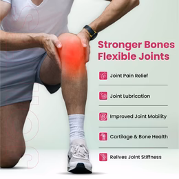 Vlado's Himalayan Organics Plant Based Joint Support With Boswellia Serrata | Amla, Alfalfa, Turmeric, Moringa + 10 Ayurvedic Herbs | Strong Bones & Relives Joint Pain | Better Flexibility For Men & Women - 60 Veg Tablets - Image 4