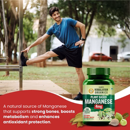 Vlado's Himalayan Organics Plant Based Manganese 4mg Supplement | Trace Mineral Supplement for Connective Tissue and Bones | Good For Skeletal Health Support - 120 Veg Capsules - Image 3