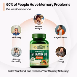 Vlado's Himalayan Organics Plant-Based Vitamin B1 | Rich in Antioxidants | Supports Memory And Energy (120 Capsules) - Image 3