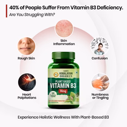 Vlado's Himalayan Organics Plant-Based Vitamin B3 | Supports Healthy Skin and Heart 120 Capsules - Image 2
