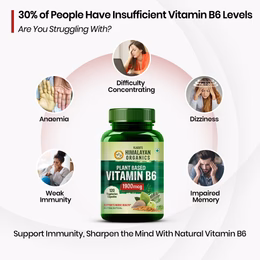 Vlado's Himalayan Organics Plant-Based Vitamin B6 | Supports Immunity, Brain Health (120 Capsules) - Image 3
