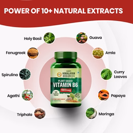 Vlado's Himalayan Organics Plant-Based Vitamin B6 | Supports Immunity, Brain Health (120 Capsules) - Image 5