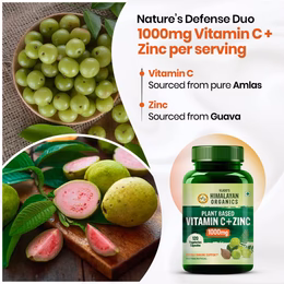 Vlado's Himalayan Organics Plant Based Vitamin C with Zinc (120 Capsules) As Amla Extract - Glowing Skin & Immunity - Image 5