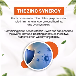 Vlado's Himalayan Organics Plant Based Vitamin C with Zinc (120 Capsules) As Amla Extract - Glowing Skin & Immunity - Image 2