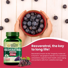 Vlado's Himalayan Organics Resveratrol 255mg with Grape Seed Extract Supplement | Support Heart And Skin Health | Powerful Anti-oxidant for Anti-Ageing - 60 Veg Capsules - Image 2