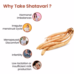 Vlado's Himalayan Organics Shatavari Powder 100gms | Promotes Lactation Naturally | Helps Maintain Hormonal Balance - Image 6