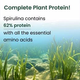 Vlado's Himalayan Organics Spirulina Powder (100g) | For Men & Women | Contains 62% Protein I Natural Superfood | Rich in Protein, Vitamins & Minerals | Boost Energy & Immunity | Support Digestion & Skin health - Image 4