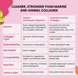 Vlado's Himalayan Organics Vegan Collagen 2000Mg With Biotin And Vitamin C (100 Tablets) - Image 5