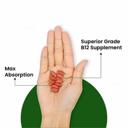 Vlado's Himalayan Organics Vitamin B12 Supplements - Methylcobalamin 500mcg I B12 Active form of Methylcobalamin I 100% RDA I For Memory, Brain, Heart & Nervous System Support I For Men & Women- 90 Tablets - Image 6