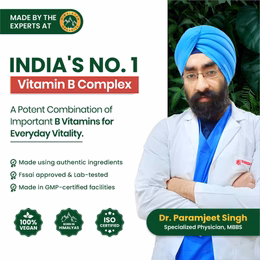 Vlado's Himalayan Organics Vitamin B Complex with 100% RDA B1, B2, B3, B5, B6, B7, B9 & B12 Supplement to Support Cognitive Health - 120 Veg Tablets - Image 7