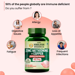 Vlado's Himalayan Organics Zinc Methionine Chelated Copper | Support Healthy Immune | Promotes Skeetal Health | Antioxidant Support - 120 Veg Capsules - Image 4