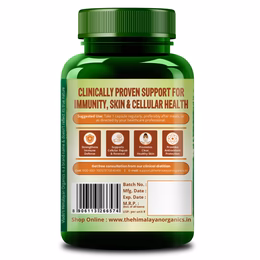 Vlado's Himalayan Organics Zinc Picolinate with Vitamin C & Copper | Zinc Supplements for Men with 100% RDA Zinc | Immunity & Cellular Health Support – 120 capsules - Image 3