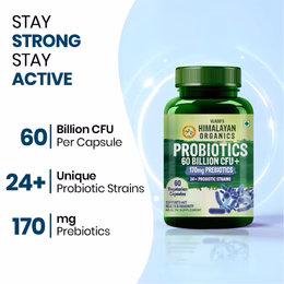 Vlado’s Himalayan Organic Probiotics 60 Billion CFU + 170Mg Prebiotics + 24 Strains Supplement | Better Nutrient Absorption | Healthy Digestion, Stronger Immunity & Overall Wellness - 60 Veg Capsules - Image 3