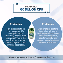 Vlado’s Himalayan Organic Probiotics 60 Billion CFU + 170Mg Prebiotics + 24 Strains Supplement | Better Nutrient Absorption | Healthy Digestion, Stronger Immunity & Overall Wellness - 60 Veg Capsules - Image 4